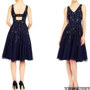 Adrianna Papell fit and flare beaded sleeveless dress